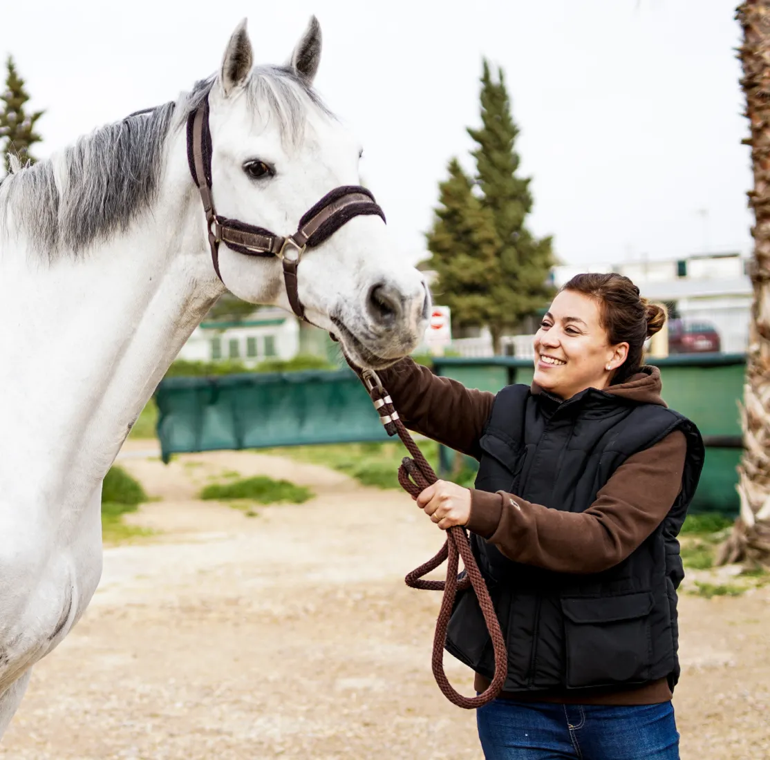 Cursos de Caballos