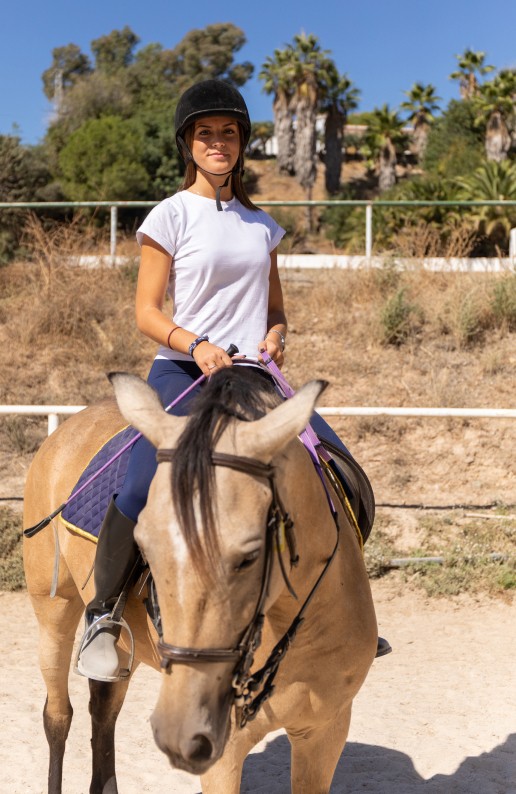 fp superior de deporte