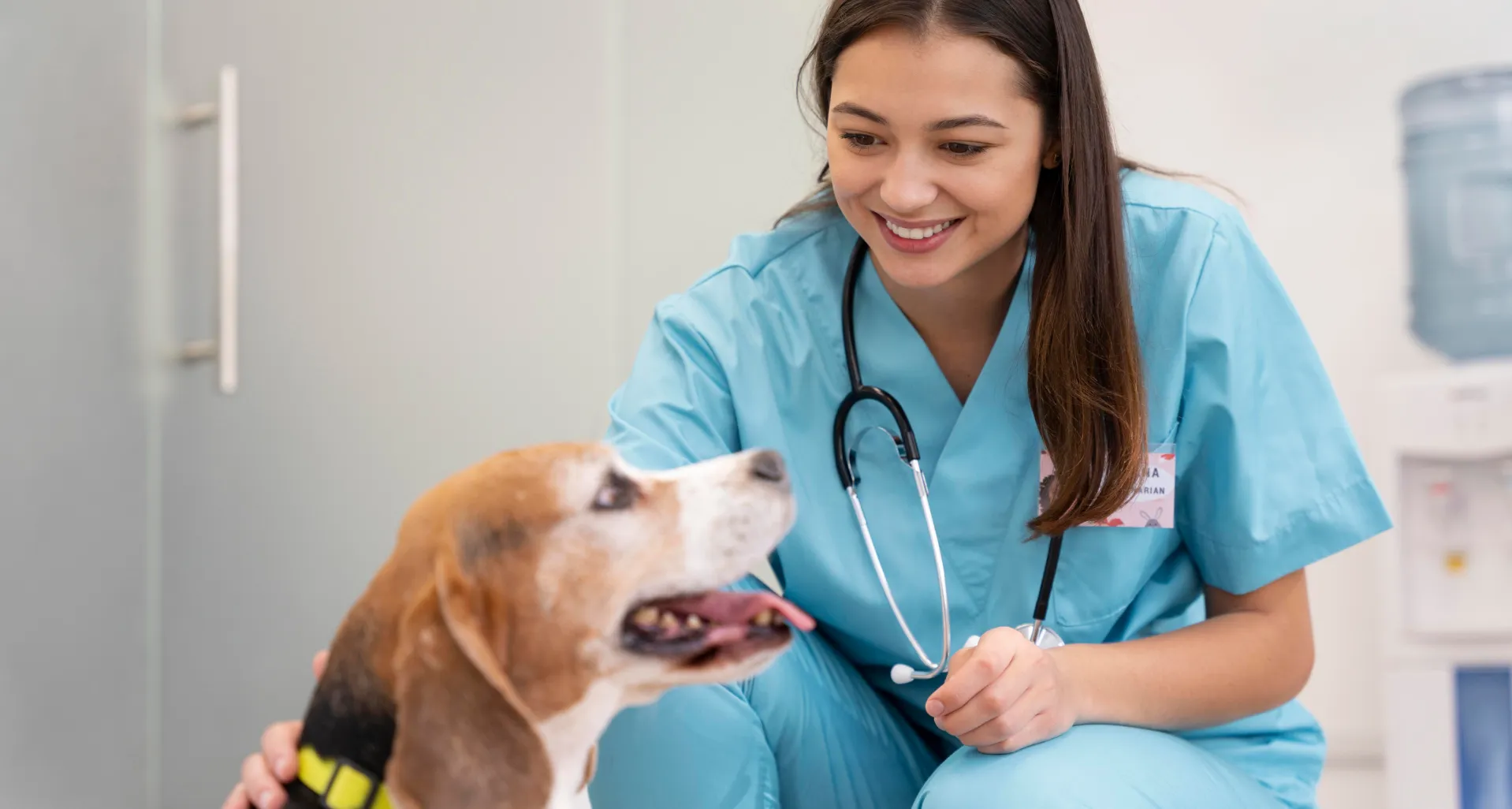 Curso de Etologia canina