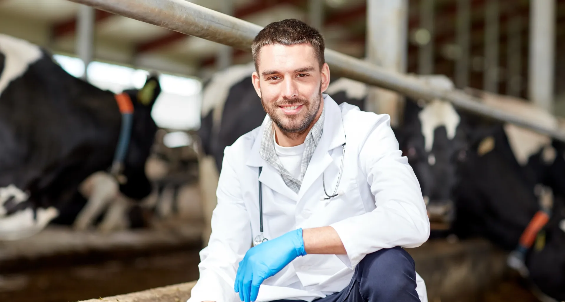 Curso de Ganadería y Asistencia Sanitaria Animal